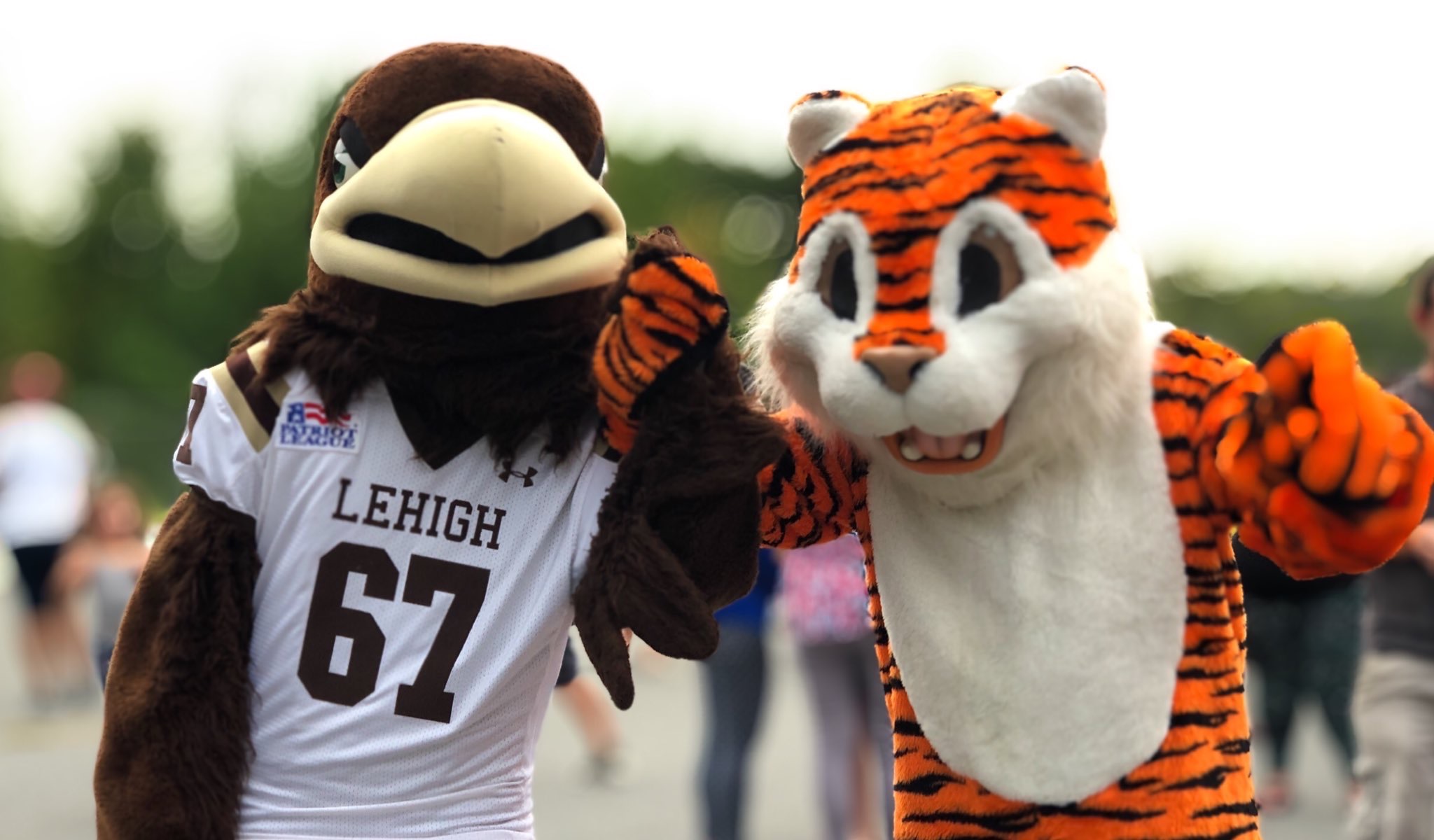 Lehigh University Mountain Hawk mascot with Fountain Hill Elementary School Mascot