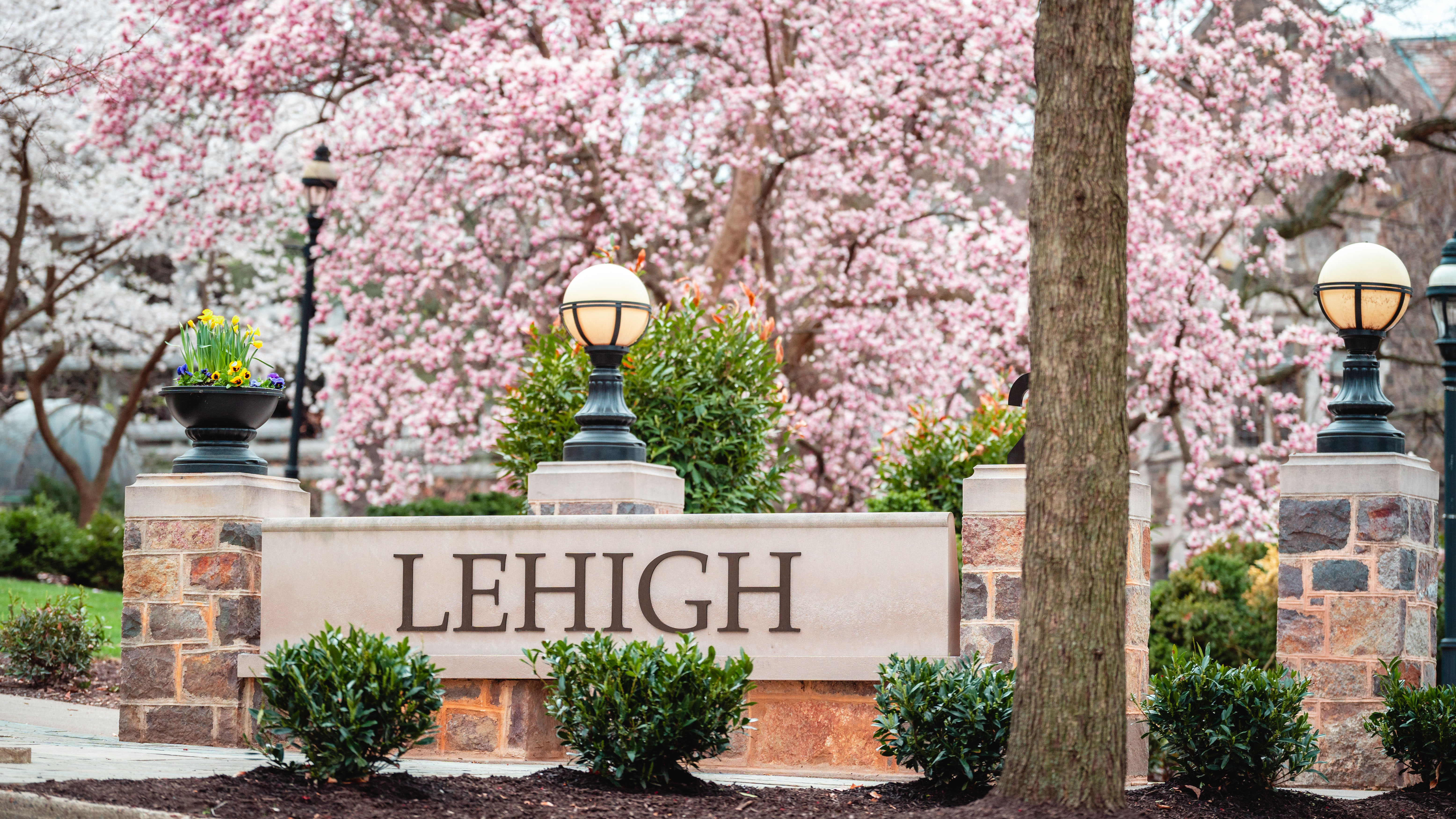 Lehigh Sign- Spring