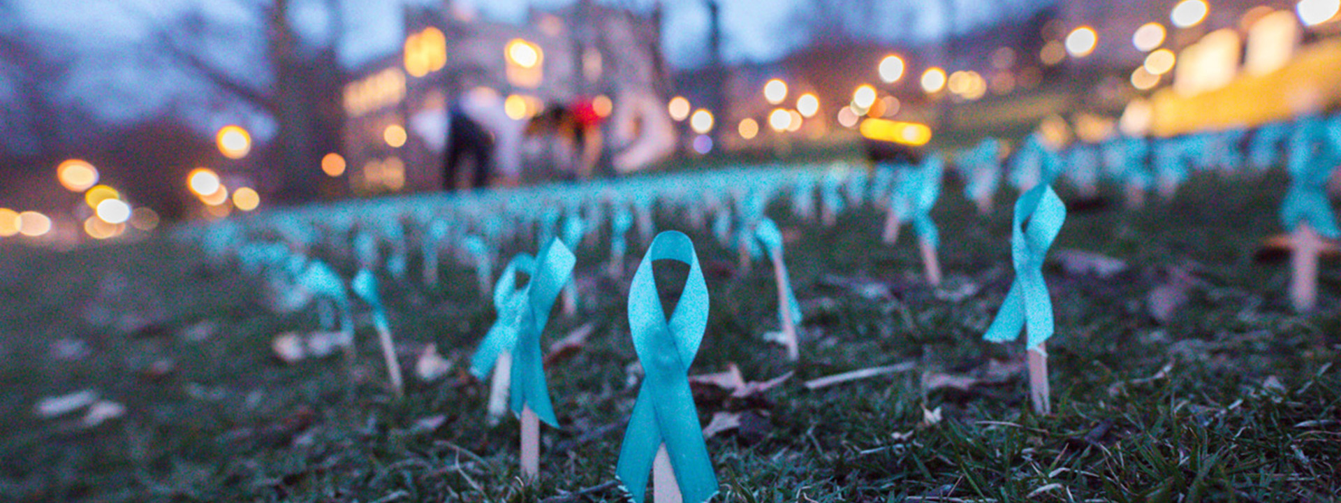 Teal ribbons on UC front lawn