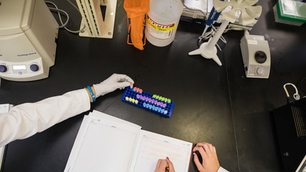 Professor working in research lab