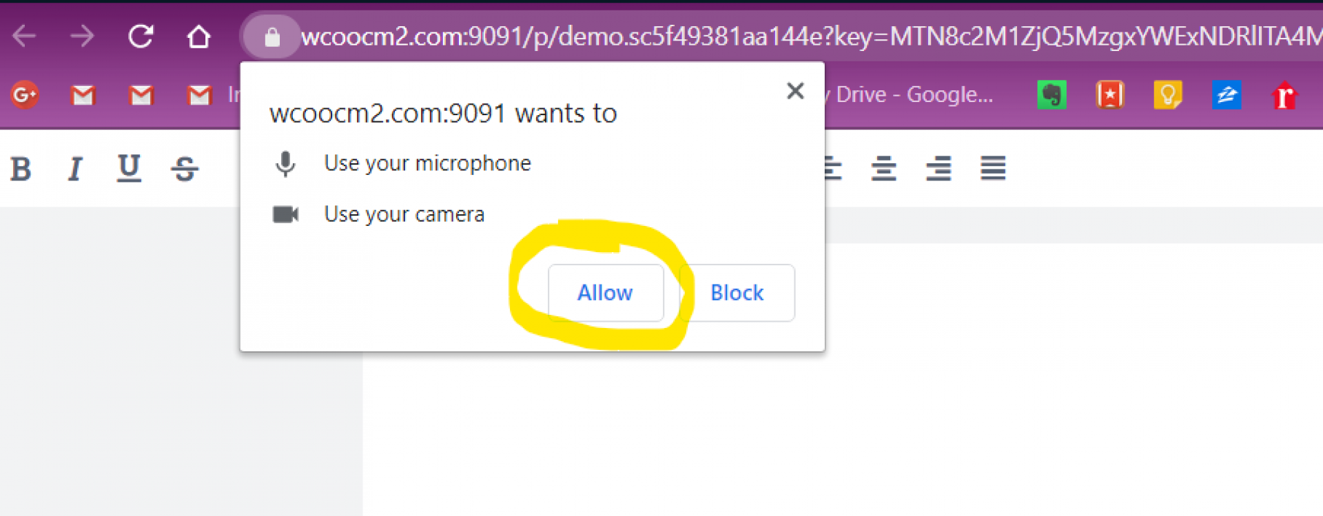 A browser request to accept the use of a camera and microphone with "Allow" circled.